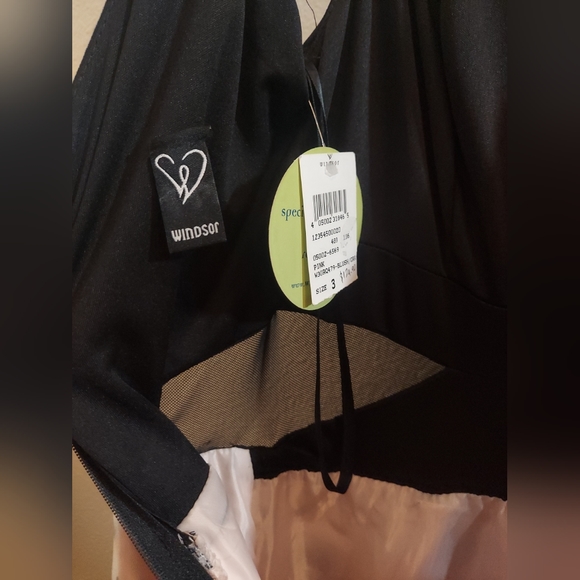 Windsor Black Top with Mesh Midriff Floral Pink and Tulle Train Full Skirt Dress - Picture 7 of 12